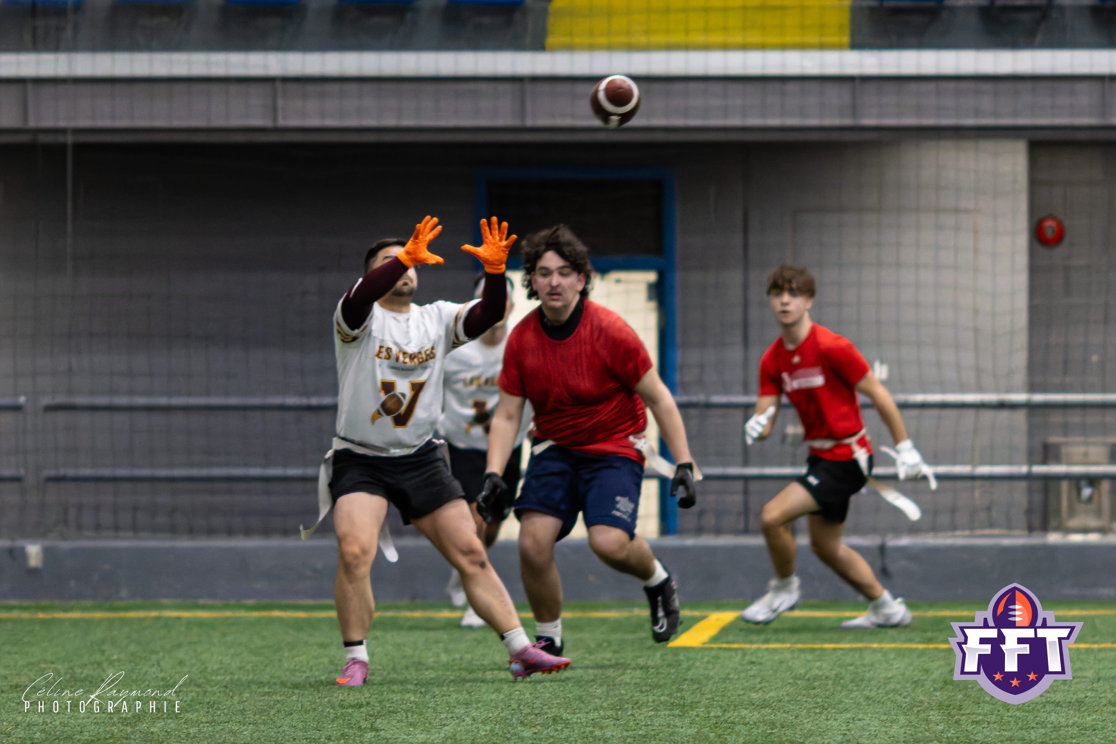 20260407-IMG_7206